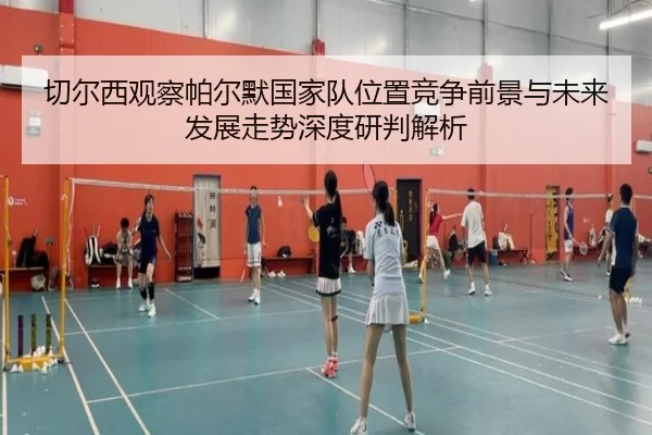 切尔西观察帕尔默国家队位置竞争前景与未来发展走势深度研判解析