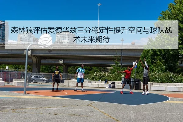 森林狼评估爱德华兹三分稳定性提升空间与球队战术未来期待